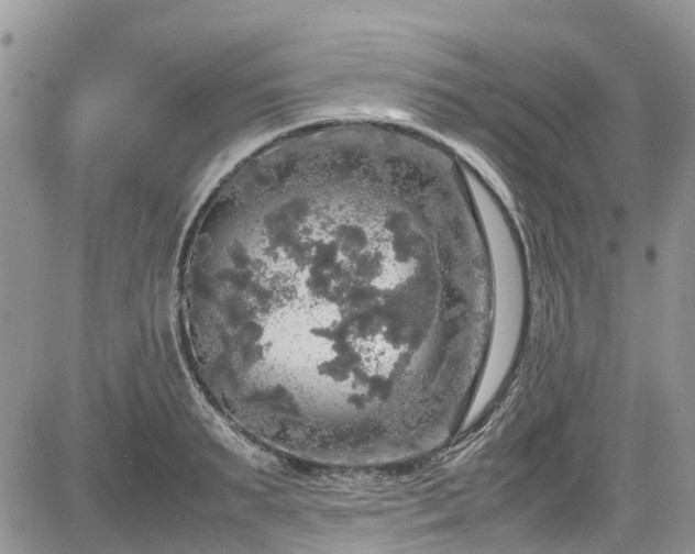 X0000085270895200703161427