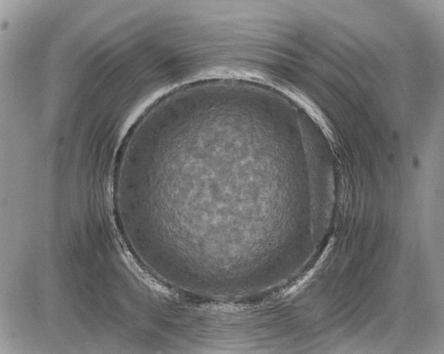 X0000085270896200703161427