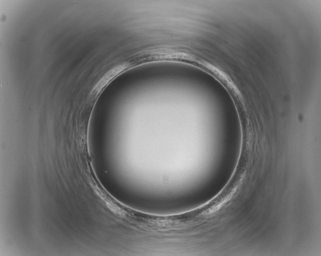 X0000085270897200703161427