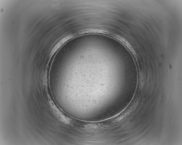 X0000085270898200703161427