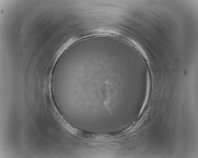 X0000085270899200703161427