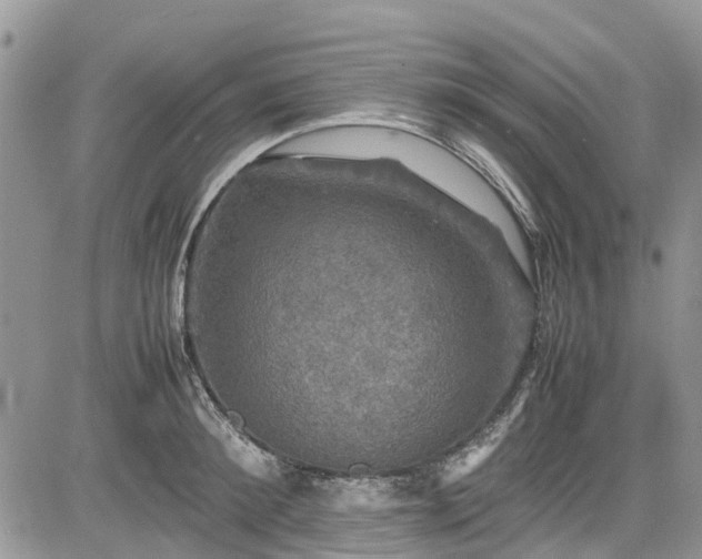 X0000085270900200703161427