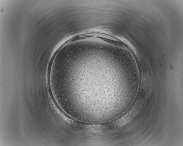 X0000085270902200703161426