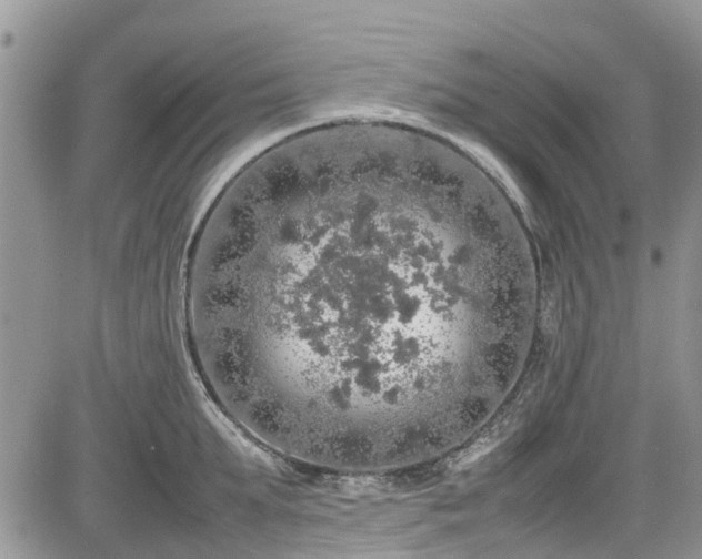 X0000085270903200703161426