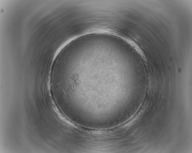 X0000085270904200703161426