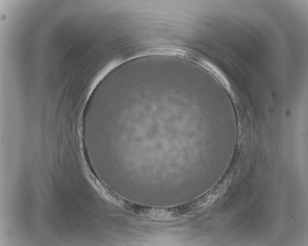 X0000085270907200703161426