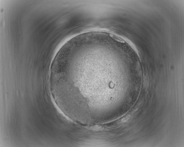 X0000085270911200703161426