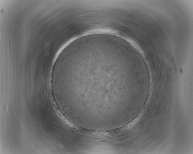 X0000085270912200703161426