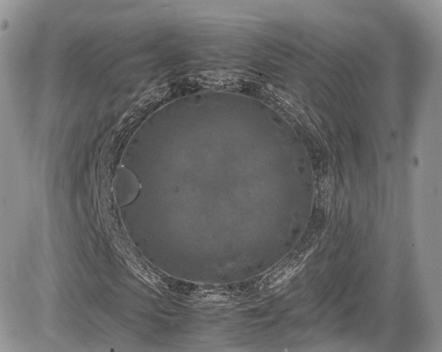 X0000085270913200703161426