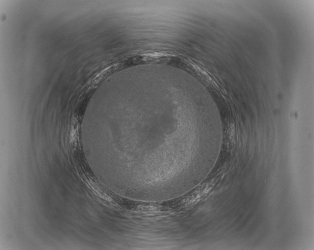 X0000085270914200703161426