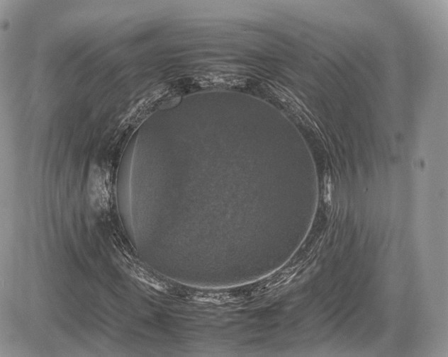 X0000085270915200703161426