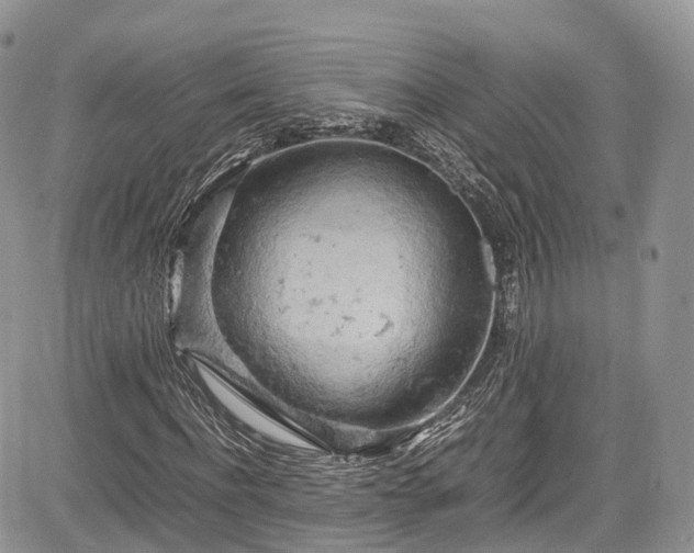 X0000085270916200703161426