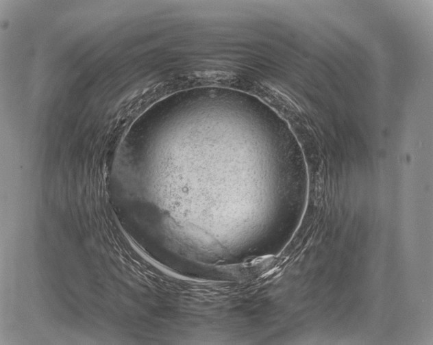 X0000085270917200703161426