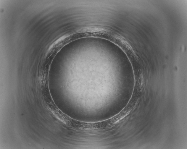 X0000085270920200703161426