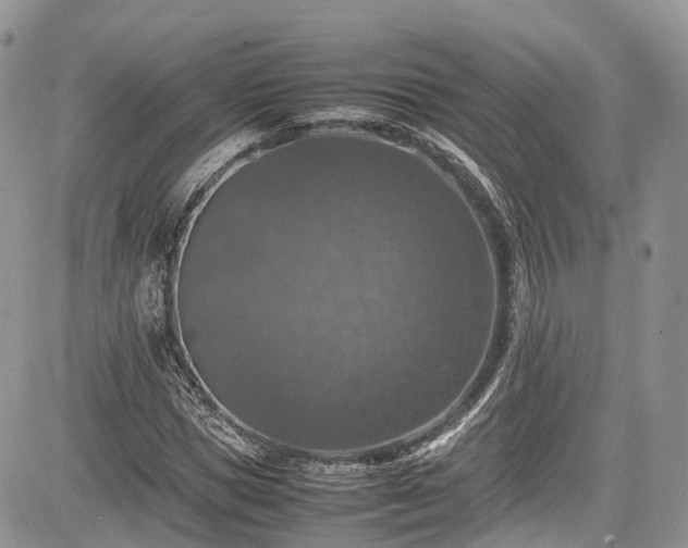 X0000085270921200703161426