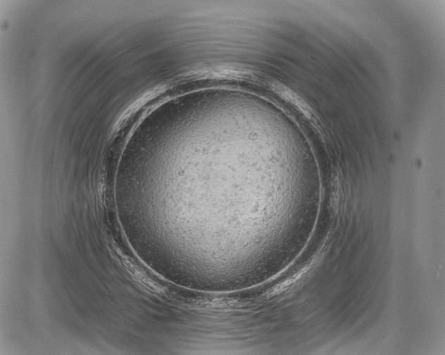 X0000085270922200703161426