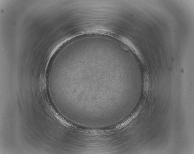 X0000085270924200703161426