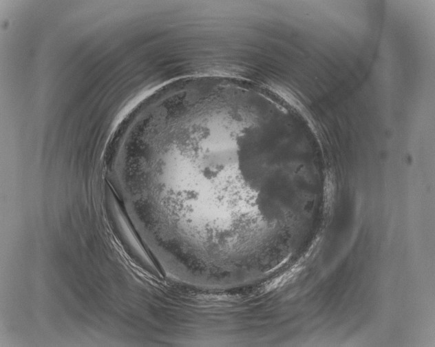 X0000085270925200703161426