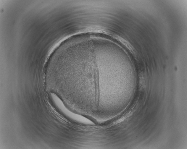 X0000085270926200703161426