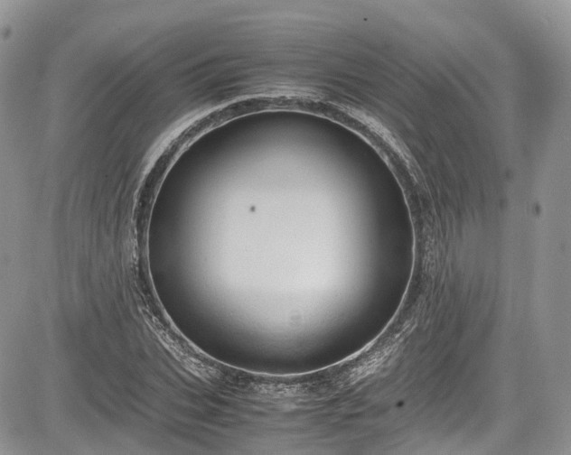 X0000085270927200703161426