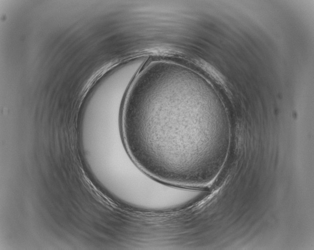 X0000085270930200703161426