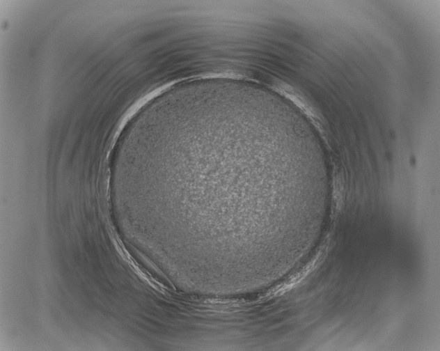 X0000085270933200703161426