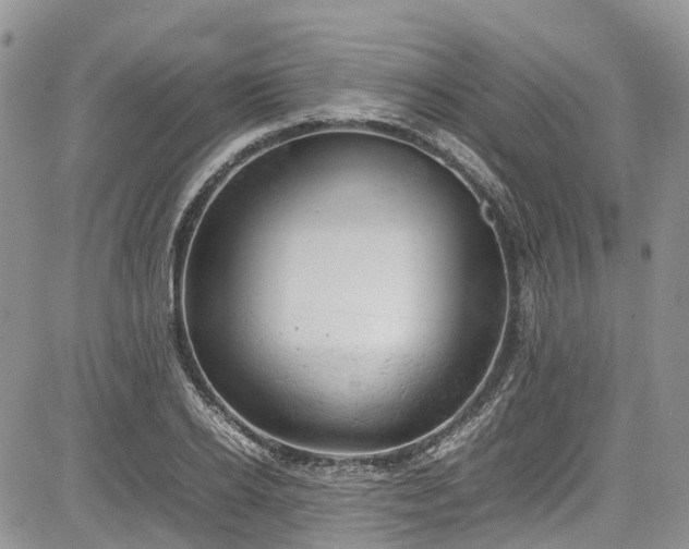 X0000085270934200703161426