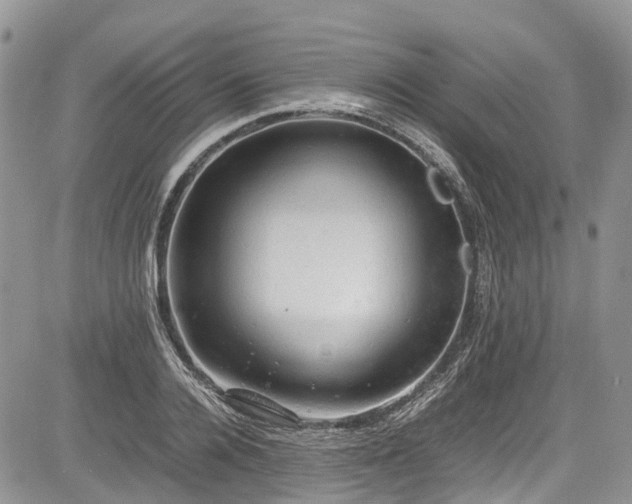 X0000085270936200703161426