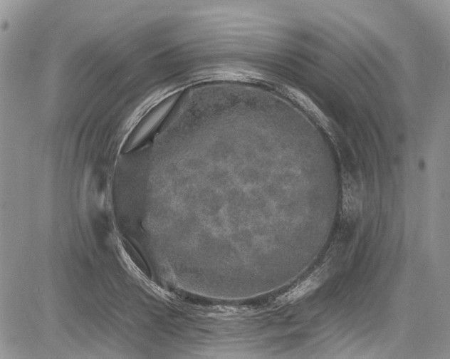 X0000085270938200703161426