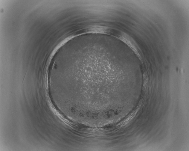 X0000085270939200703161426