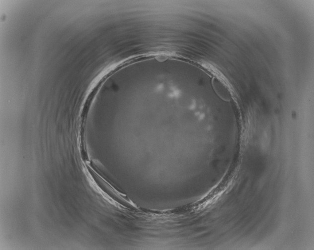 X0000085270941200703161426