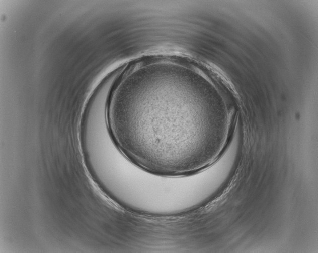 X0000085270942200703161426