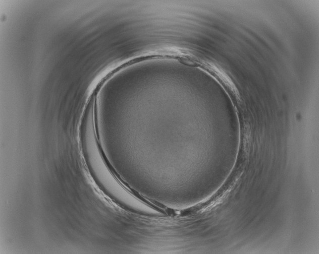 X0000085270944200703161426