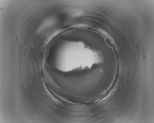 X0000085270945200703161426