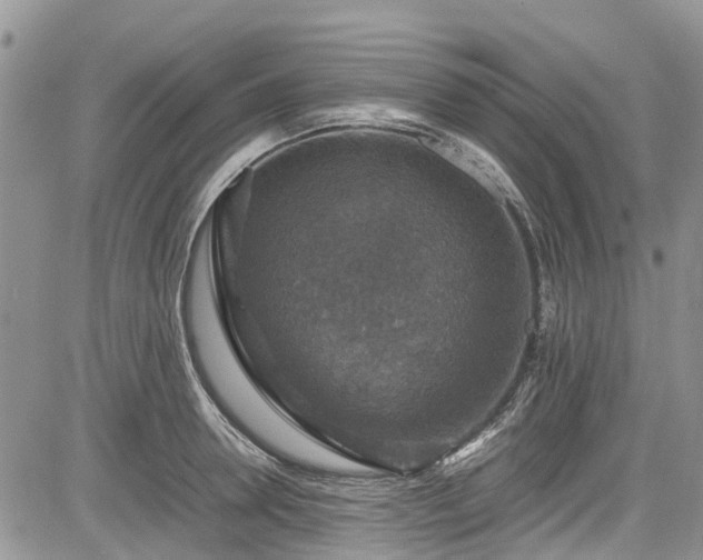 X0000085270946200703161426