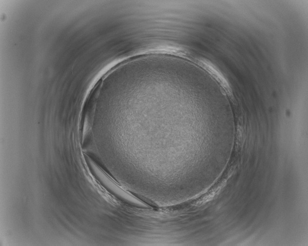 X0000085270948200703161426