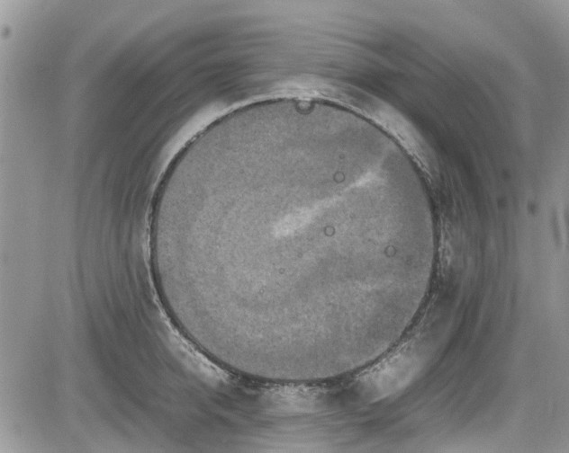 X0000085270950200703161426