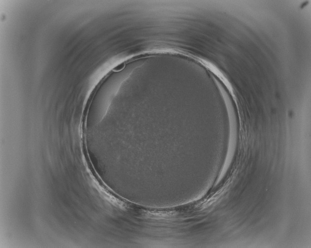 X0000085270951200703161426