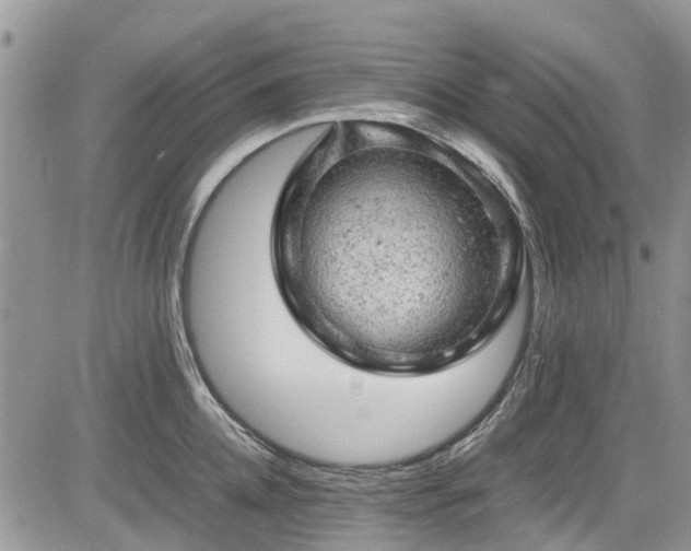 X0000085270952200703161426