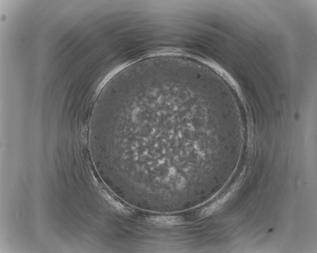 X0000085270953200703161426