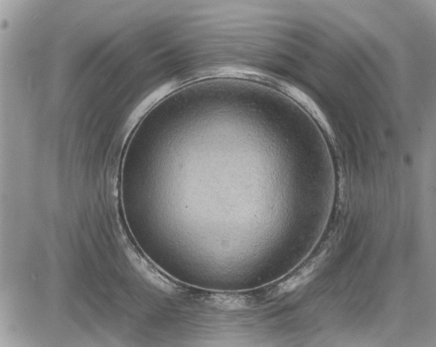 X0000085270954200703161426