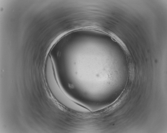 X0000085270956200703161426