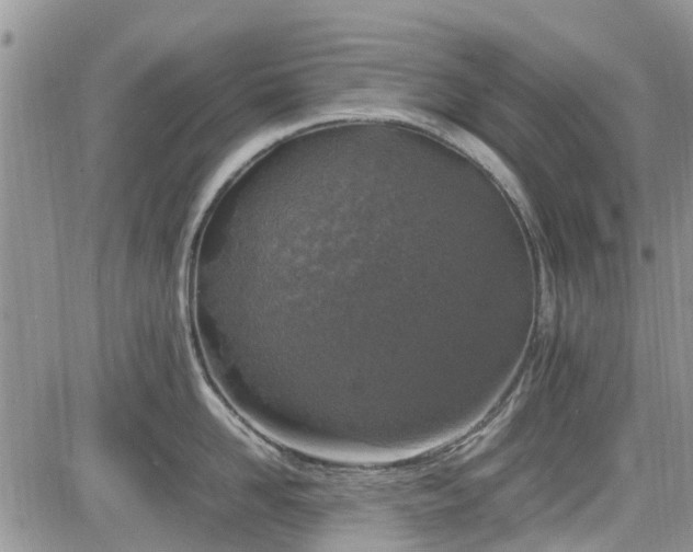 X0000085270958200703161426