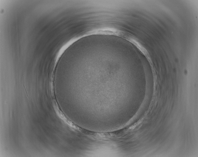 X0000085270960200703161426