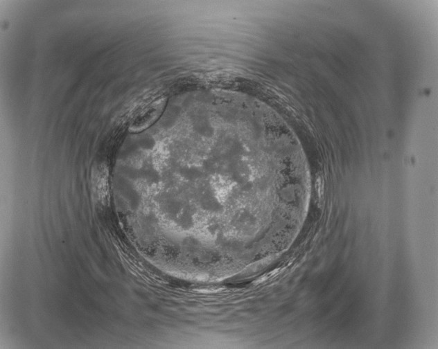 X0000085270963200703161425