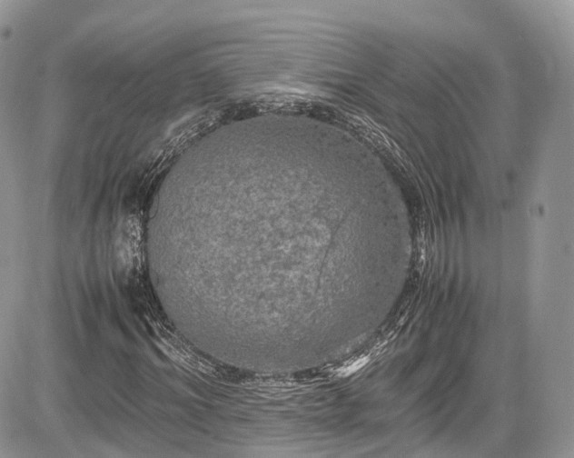 X0000085270964200703161425