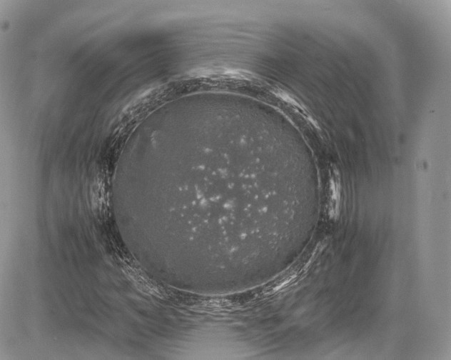 X0000085270966200703161425