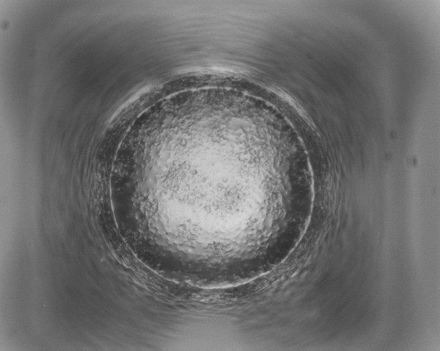 X0000085270967200703161425