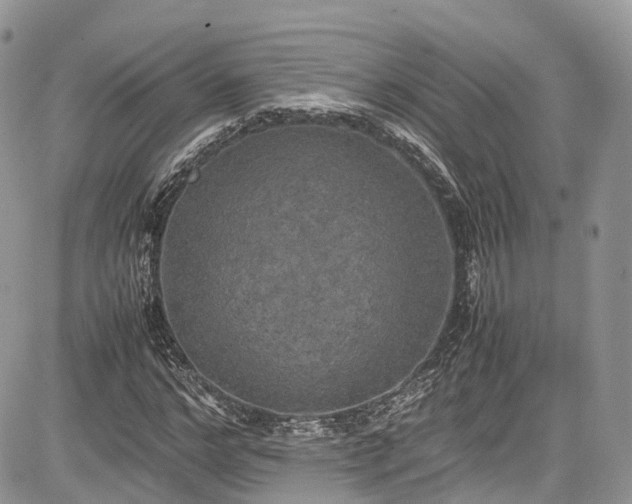 X0000085270968200703161425