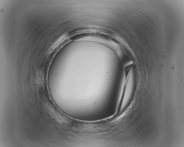 X0000085270969200703161425